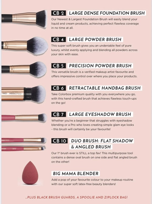 Set of makeup brushes with names and descriptions on a pink background